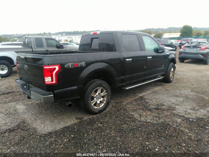 2015 FORD F-150 XLT - 1FTEW1EP7FFA65868