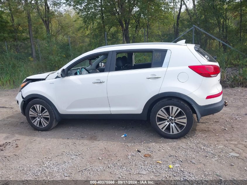 2014 Kia Sportage Ex VIN: KNDPCCAC3E7612059 Lot: 40375566