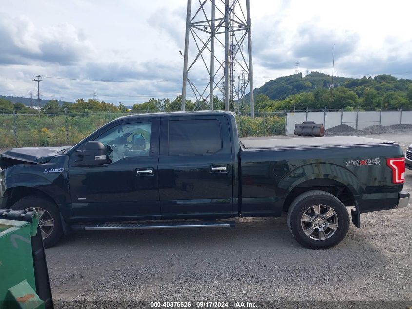 2015 FORD F-150 XLT - 1FTFW1EG7FFB68258