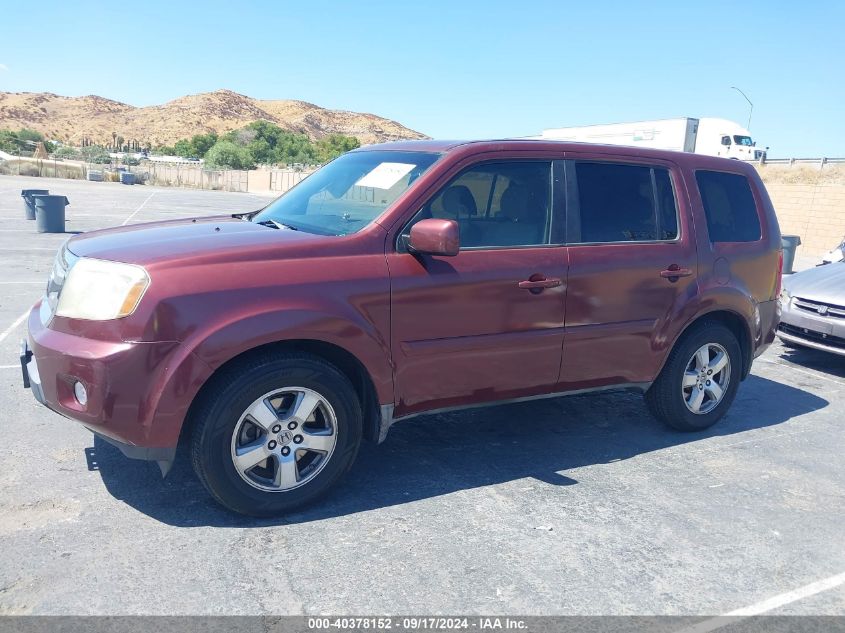 2009 Honda Pilot Ex VIN: 5FNYF48499B019628 Lot: 40378152