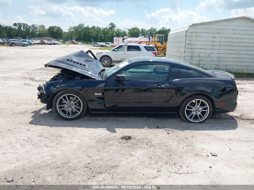 2013 FORD MUSTANG GT PREMIUM - 1ZVBP8CF4D5200436