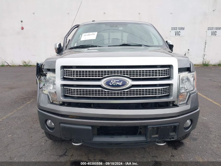 2012 Ford F-150 Platinum VIN: 1FTFW1ET2CFB95876 Lot: 40380556