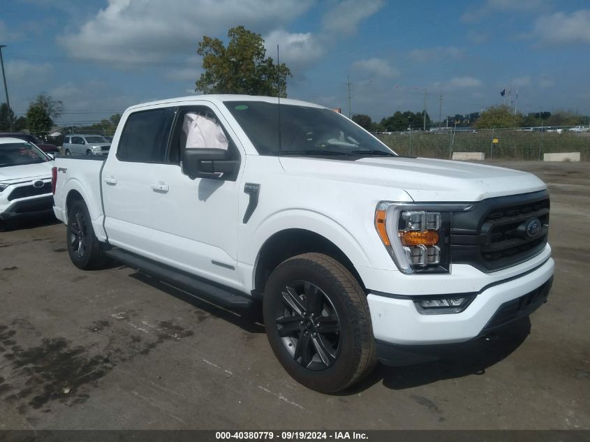 2023 FORD F-150 XLT - 1FTFW1ED8PFD07966