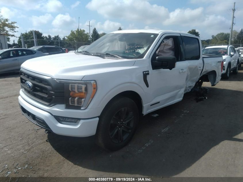 2023 FORD F-150 XLT - 1FTFW1ED8PFD07966