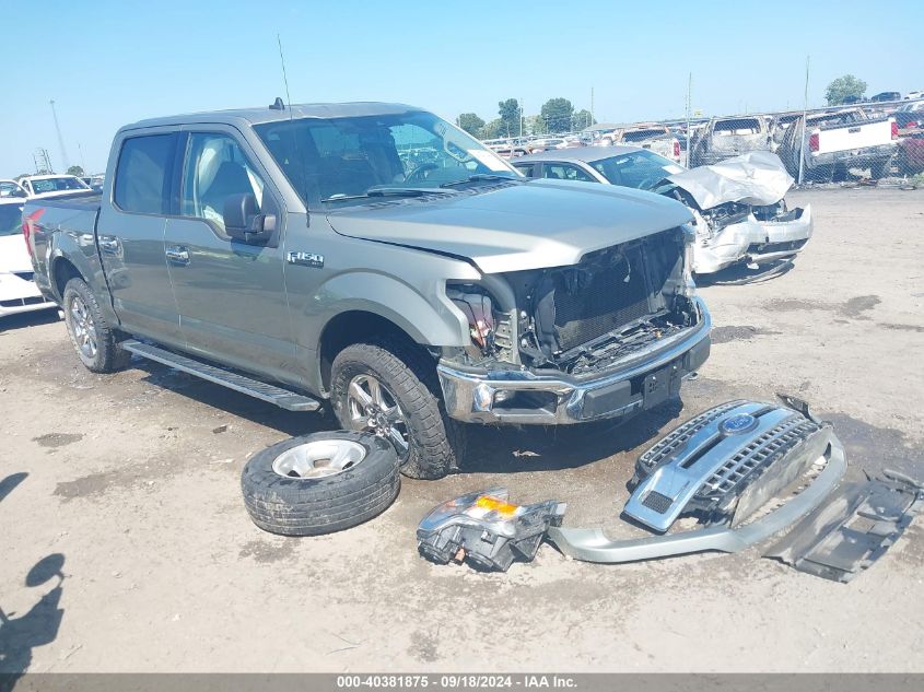 2019 FORD F-150 XLT - 1FTEW1E44KKE60906