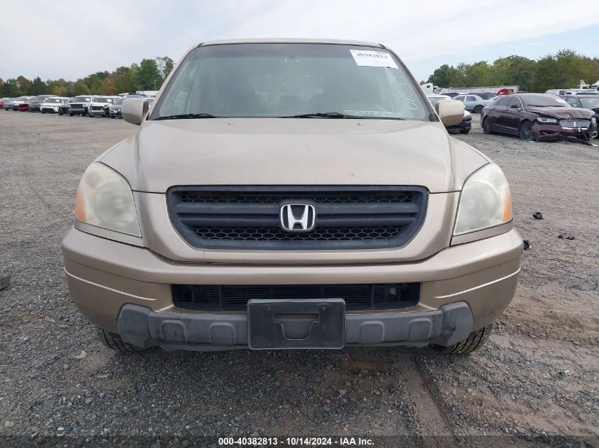 2005 Honda Pilot Ex VIN: 5FNYF18415B065169 Lot: 40382813