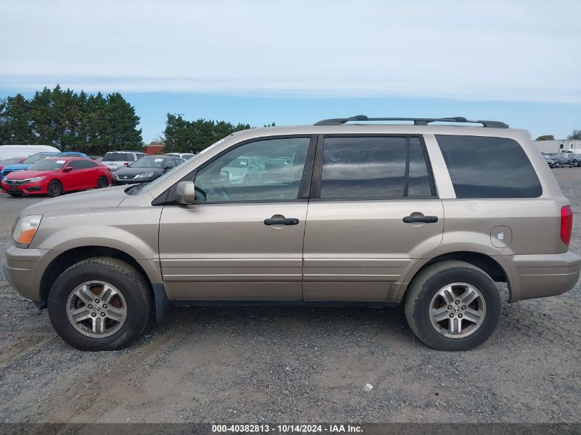 2005 Honda Pilot Ex VIN: 5FNYF18415B065169 Lot: 40382813