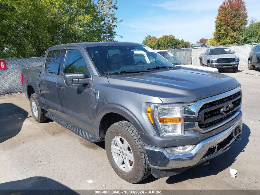 1FTFW1E8XMFD11323 2021 FORD F-150