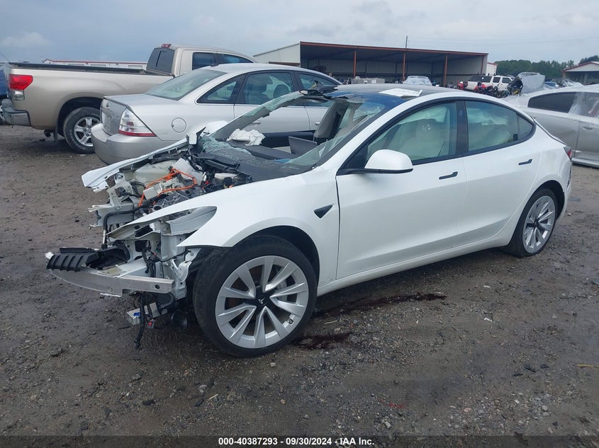 2021 TESLA MODEL 3 U  U UX(VIN: 5YJ3E1EB7MF868891