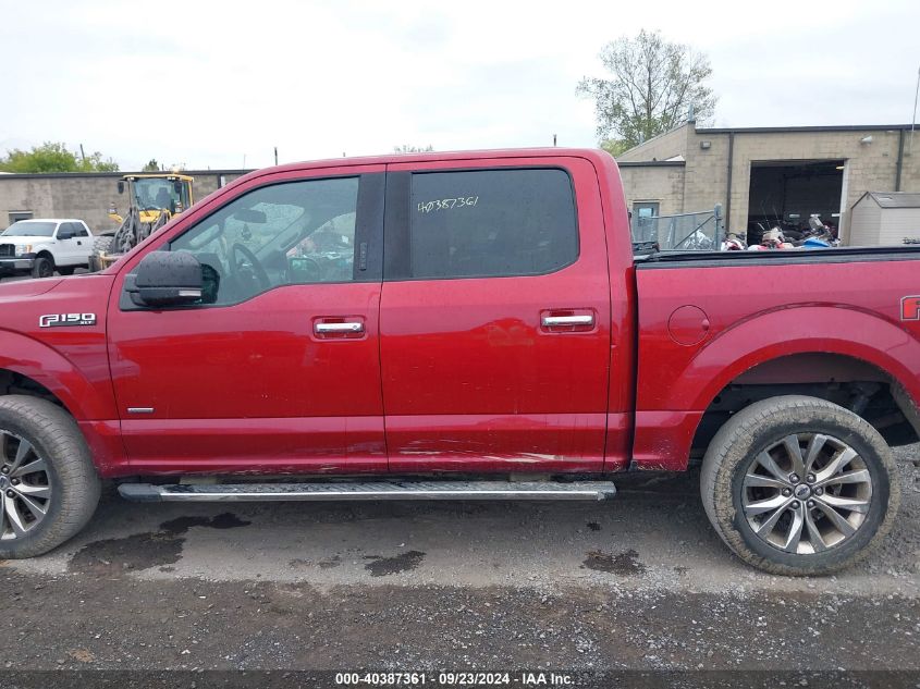 2016 FORD F-150 XLT - 1FTEW1EG1GKF38110