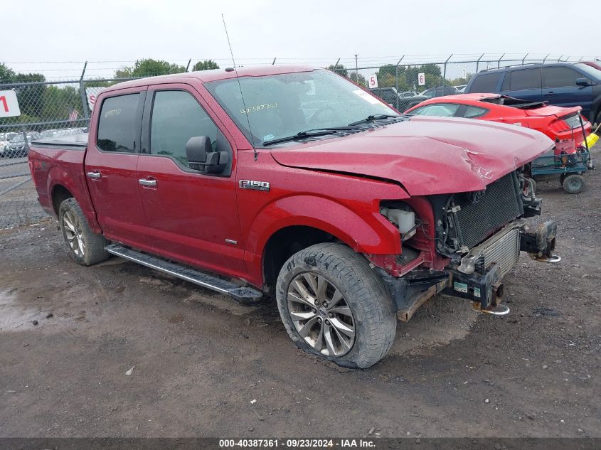 2016 FORD F-150 XLT - 1FTEW1EG1GKF38110