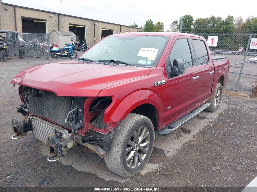 2016 FORD F-150 XLT - 1FTEW1EG1GKF38110