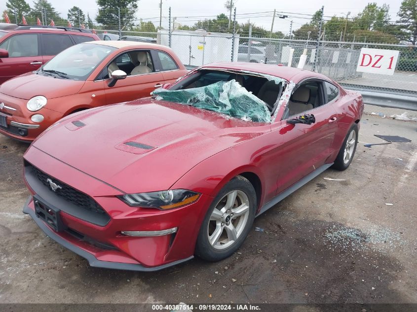 1FA6P8TH0K5194160 2019 FORD MUSTANG - Image 2