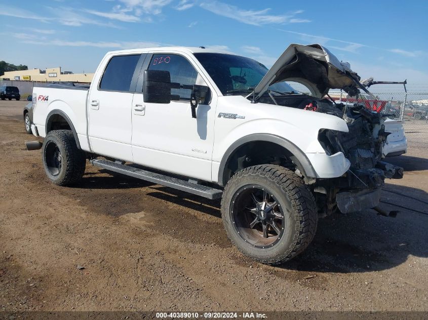 2013 FORD F-150 FX4 - 1FTFW1ET6DKE87684