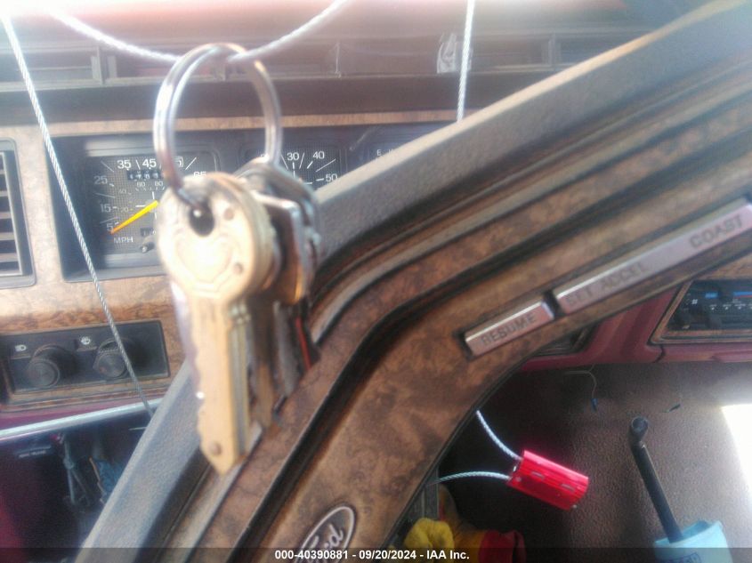 1986 Ford F150 VIN: 1FTEX14N3GKB91196 Lot: 40390881