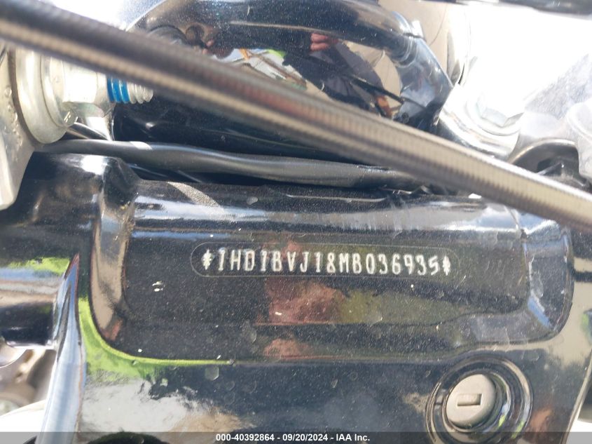 2021 Harley-Davidson Fxst VIN: 1HD1BVJ18MB036935 Lot: 40392864