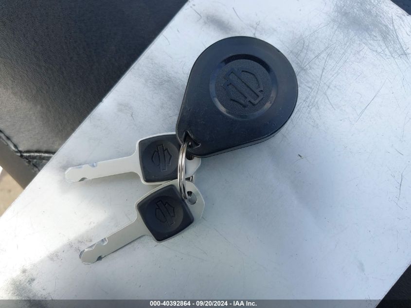 2021 Harley-Davidson Fxst VIN: 1HD1BVJ18MB036935 Lot: 40392864