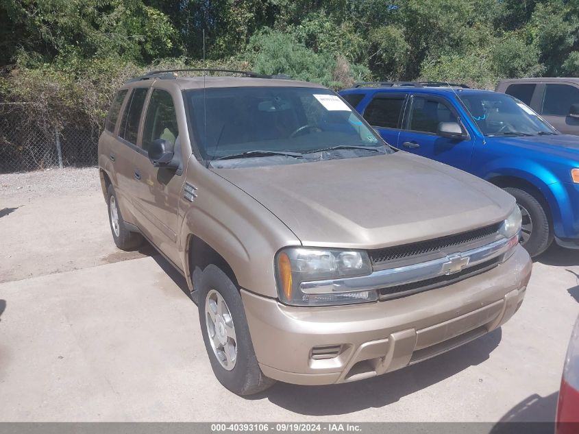 2006 Chevrolet Trailblazer Ls VIN: 1GNDT13S862310221 Lot: 40393106