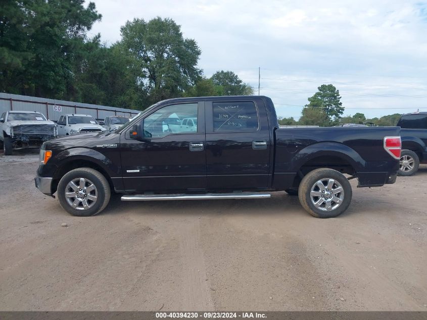 2013 FORD F-150 XLT - 1FTFW1CTXDKF55276