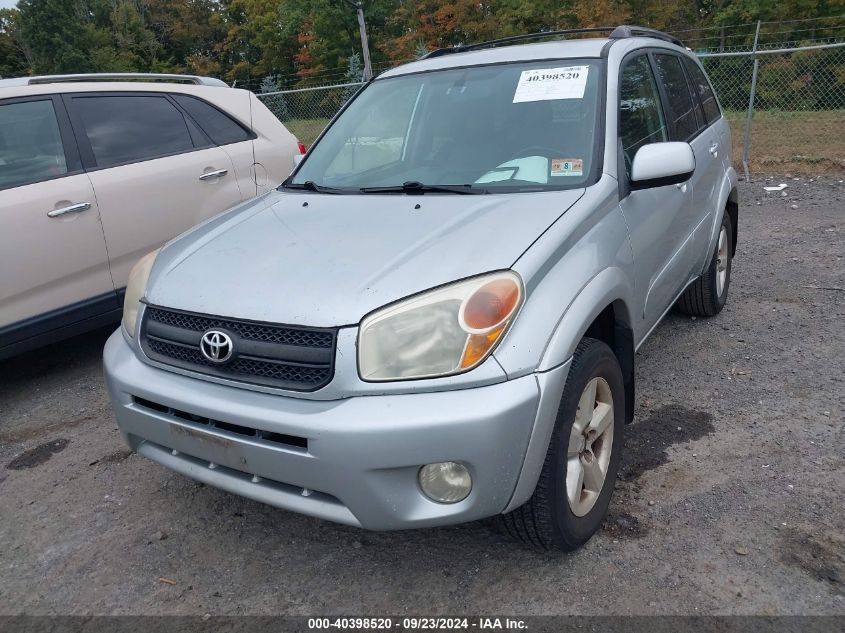 2004 Toyota Rav4 VIN: JTEHD20VX46018504 Lot: 40398520