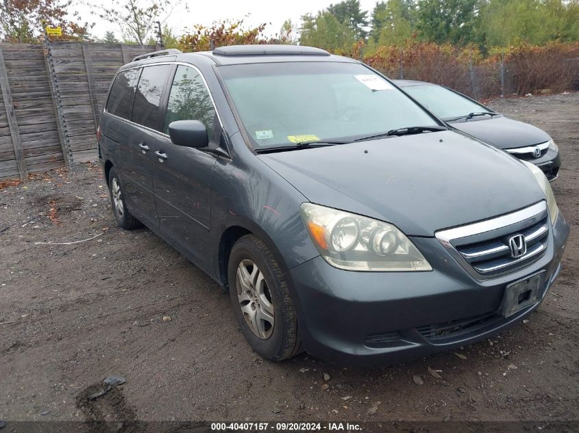 2006 Honda Odyssey Ex-L VIN: 5FNRL38636B455069 Lot: 40407157