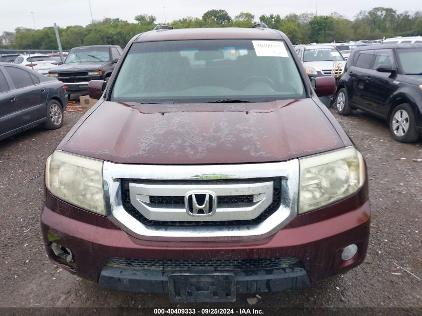 2009 Honda Pilot Ex-L VIN: 5FNYF38519B024910 Lot: 40409333