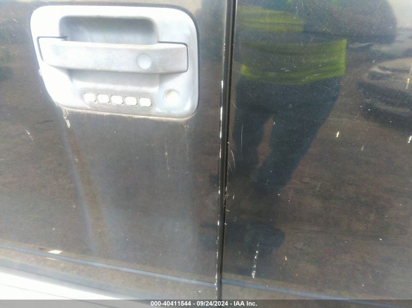 2004 Ford F-150 Stx/Xlt VIN: 1FTRX04W14KA01895 Lot: 40411544