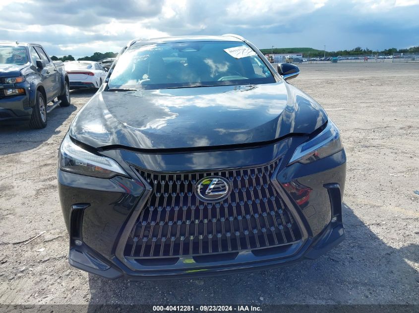 VIN 2T2GDCAZ6RC007504 2024 Lexus NX 250, Premium no.13