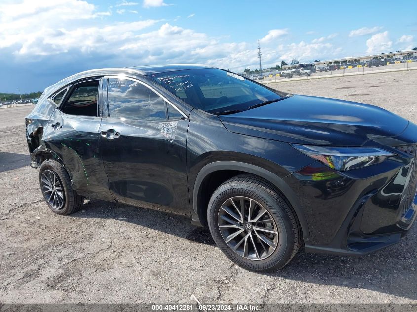 VIN 2T2GDCAZ6RC007504 2024 Lexus NX 250, Premium no.18