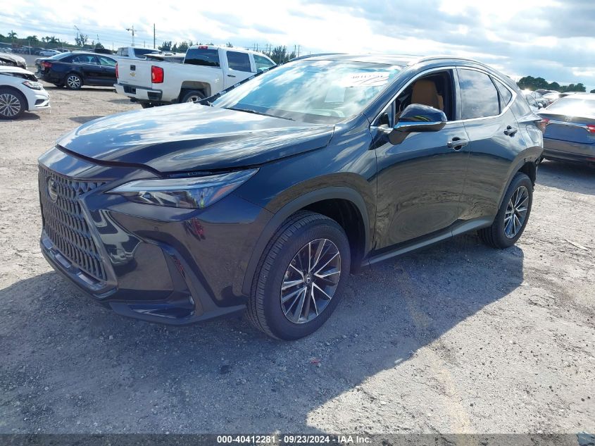 VIN 2T2GDCAZ6RC007504 2024 Lexus NX 250, Premium no.2