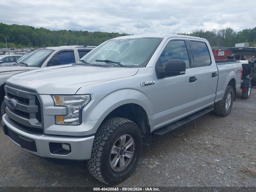 1FTFW1EF1FKE44366 2015 FORD F-150 - Image 2