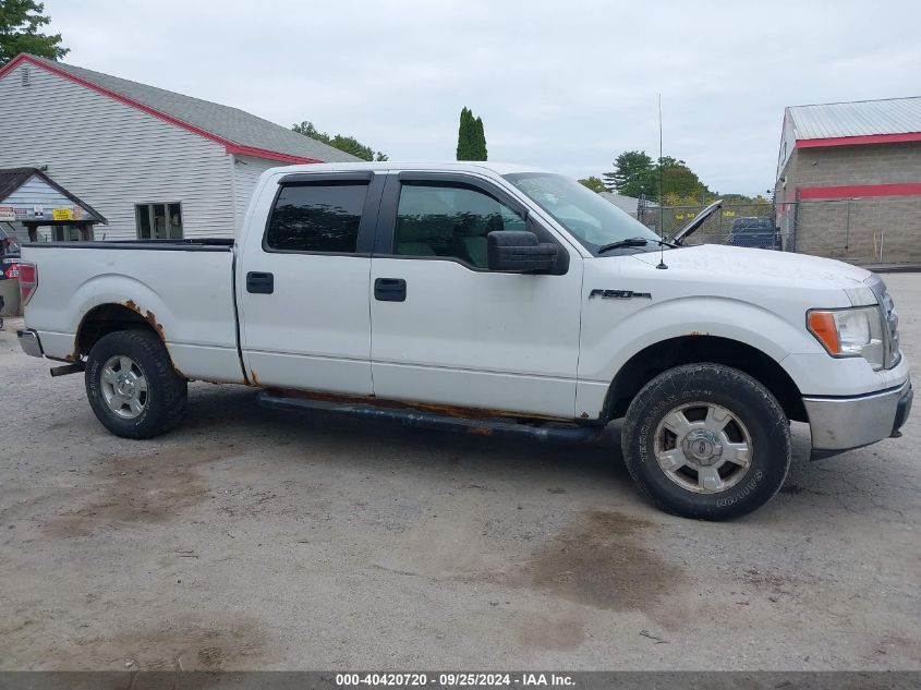 2010 Ford F-150 Fx4/Harley-Davidson/King Ranch/Lariat/Platinum/Xl/Xlt VIN: 1FTFW1EV2AFB67767 Lot: 40420720