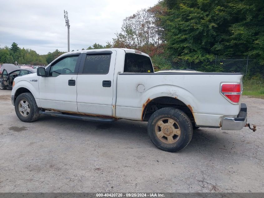 2010 Ford F-150 Fx4/Harley-Davidson/King Ranch/Lariat/Platinum/Xl/Xlt VIN: 1FTFW1EV2AFB67767 Lot: 40420720