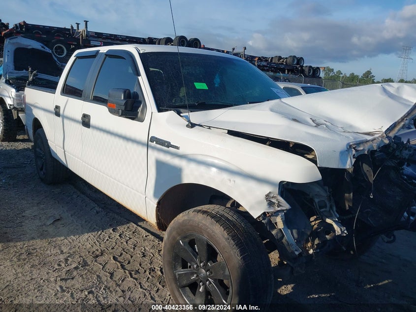 FORD F-150 FX2 SPORT/HARLEY-DAVIDSON/KING RANCH/LARIAT/PLATINUM/XL/XLT