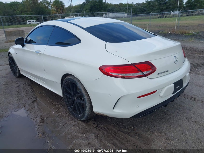 VIN WDDWJ6EB0HF449360 2017 MERCEDES-BENZ AMG C 43 4MATIC