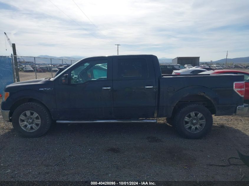 1FTEW1E8XAFA58205 2010 Ford F-150 Xl/Xlt