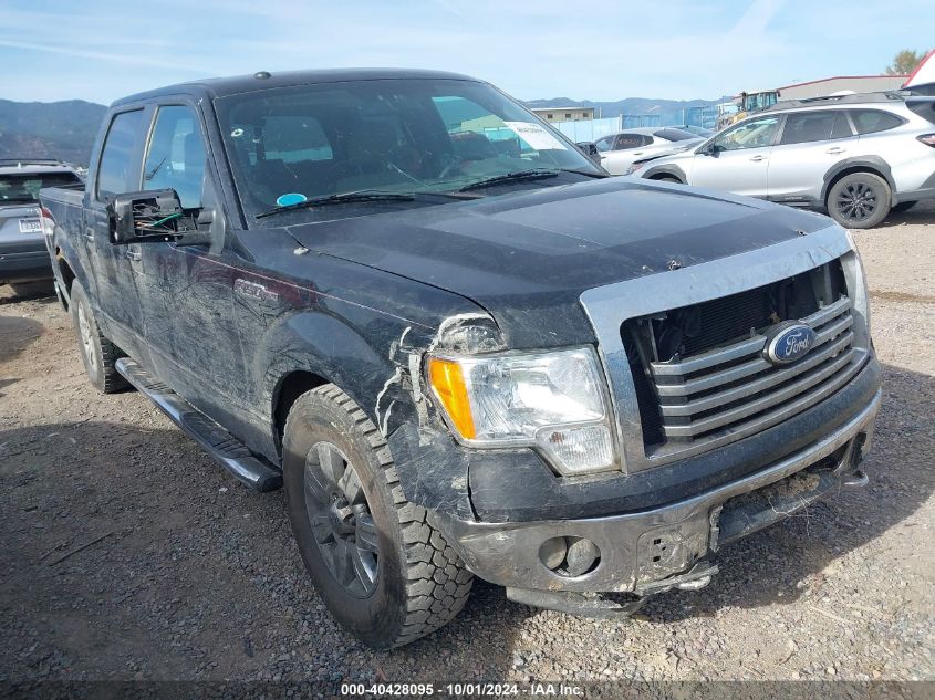 1FTEW1E8XAFA58205 2010 Ford F-150 Xl/Xlt