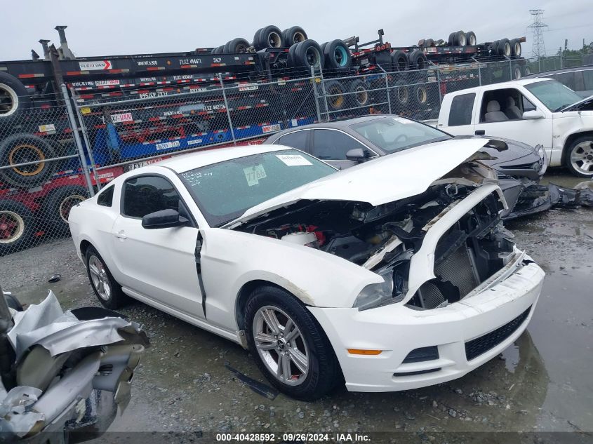 1ZVBP8AM4D5229548 2013 Ford Mustang