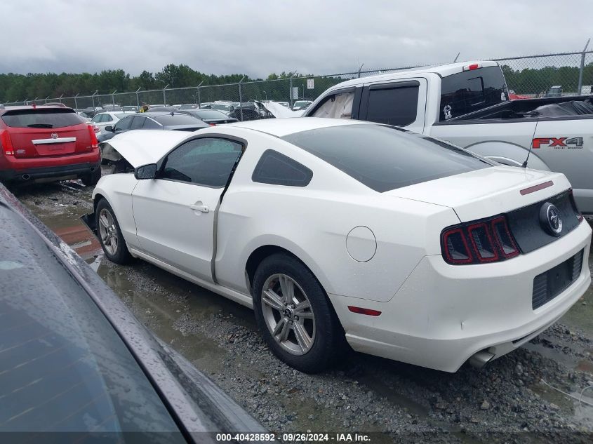 1ZVBP8AM4D5229548 2013 Ford Mustang