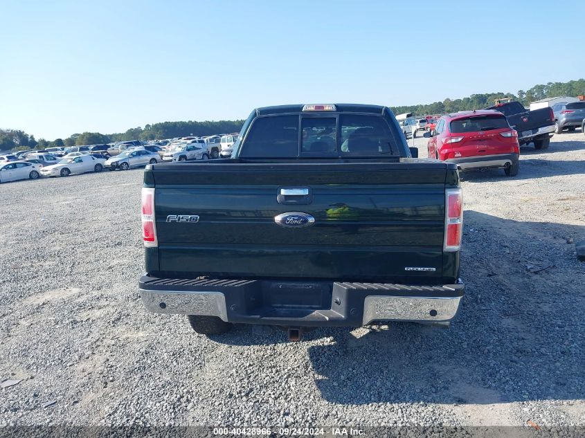 2013 Ford F-150 Xlt VIN: 1FTFX1CF3DFA87066 Lot: 40428966