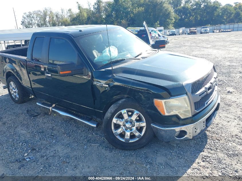 2013 Ford F-150 Xlt VIN: 1FTFX1CF3DFA87066 Lot: 40428966