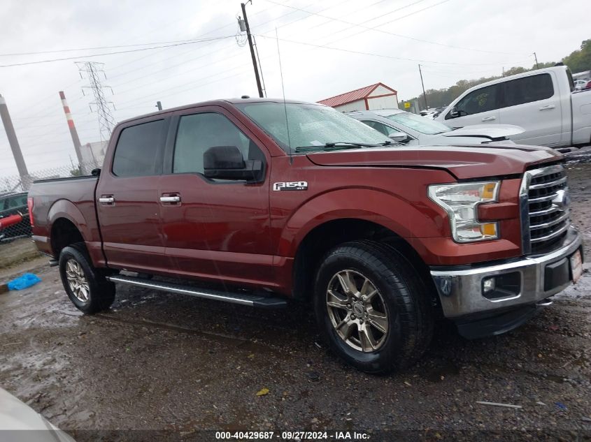 2016 Ford F-150 Xlt VIN: 1FTEW1EF8GFB31689 Lot: 40429687