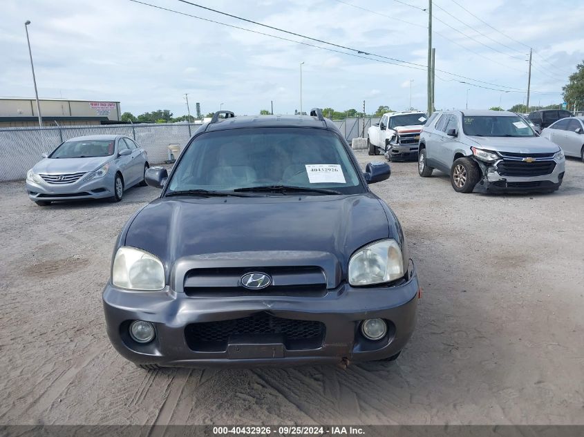 2005 Hyundai Santa Fe Gls VIN: KM8SC73D95U981836 Lot: 40432926