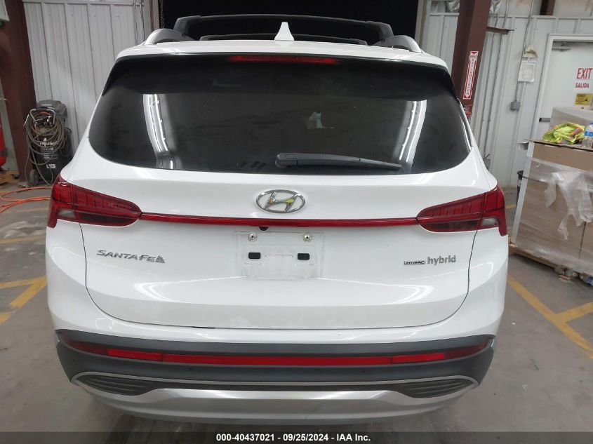 2023 Hyundai Santa Fe Hybrid Limited VIN: 5NMS5DA13PH012937 Lot: 40437021