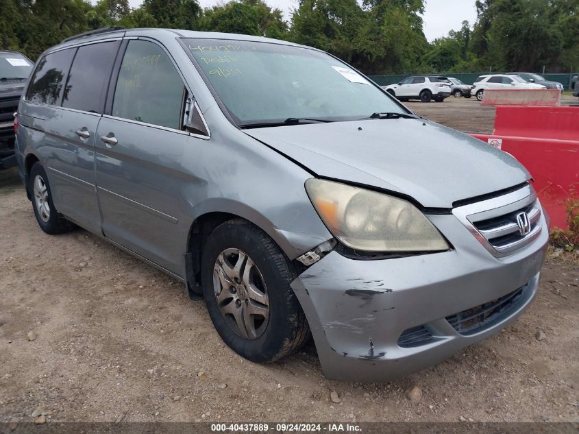 2007 Honda Odyssey Ex-L VIN: 5FNRL38767B057056 Lot: 40437889