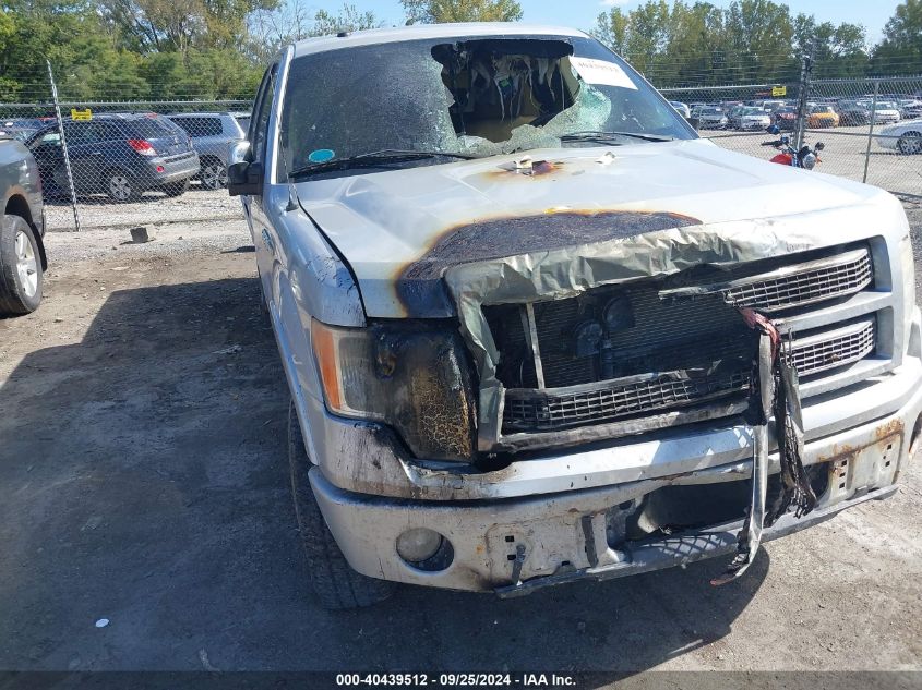 2009 Ford F-150 Fx4/King Ranch/Lariat/Platinum/Xl/Xlt VIN: 1FTPW14V79FB18467 Lot: 40439512