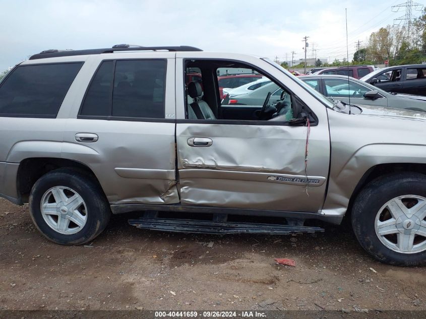 2003 Chevrolet Trailblazer VIN: 1GNDS13S732252603 Lot: 40441659