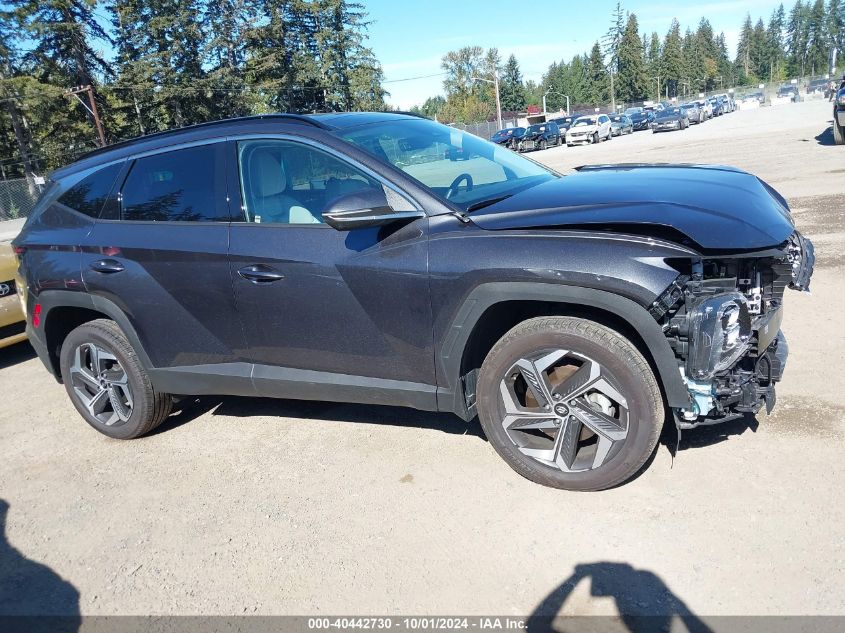 2023 Hyundai Tucson Limited VIN: 5NMJECAE7PH287901 Lot: 40442730