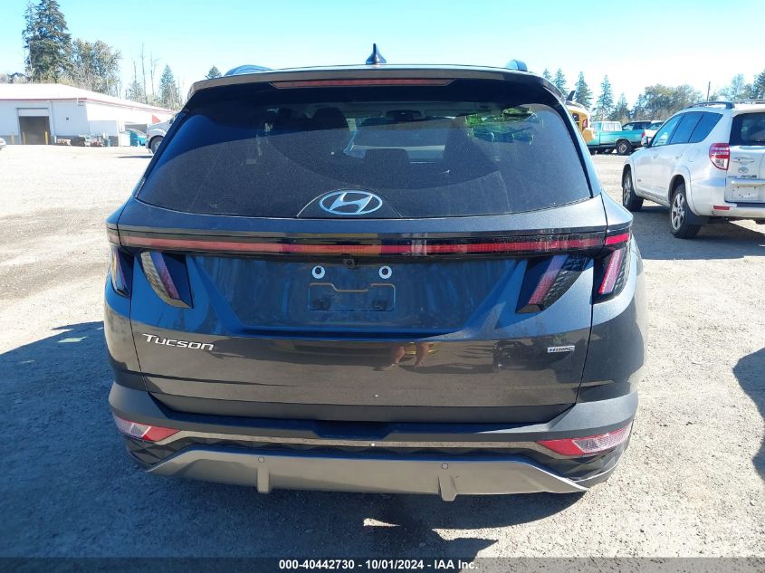 2023 Hyundai Tucson Limited VIN: 5NMJECAE7PH287901 Lot: 40442730