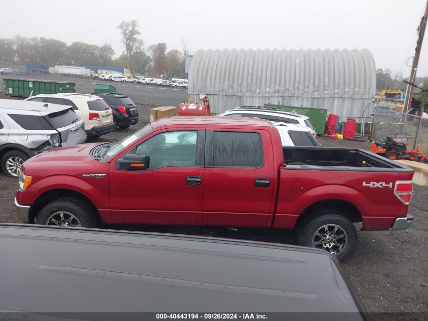 2013 Ford F-150 Xlt VIN: 1FTFW1EF6DKF51801 Lot: 40443194